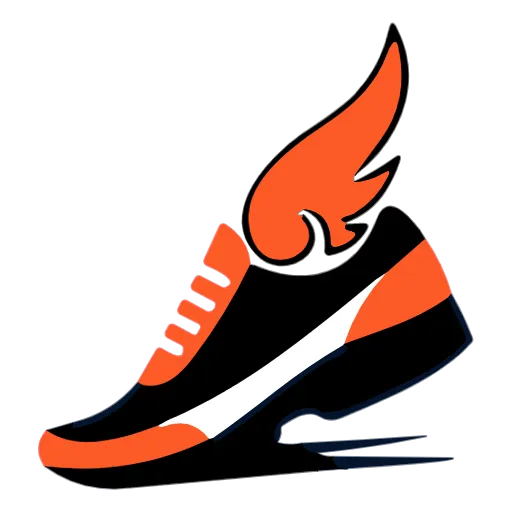 Chinese Shoes